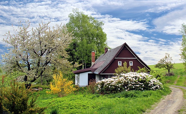 dom, zeleň, kvety, stromy.jpg